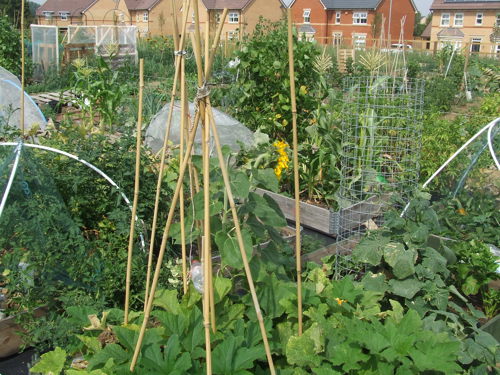 A graphic showing a printed copy of the South Cambridgeshire District Council Corporate Plan 2025-2030. The front cover is visible and two inside pages showing further graphical descriptions and indicators of the district are visible.