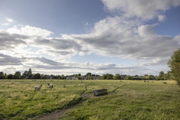 Farmland at the edge of the village of Conington. There are green fields with sheep, with cloudy skies above.