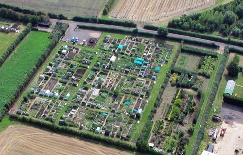 Allotment aerial photo