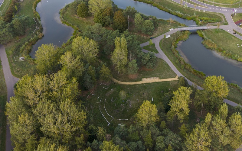 Trees at Waterbeach new town.jpg