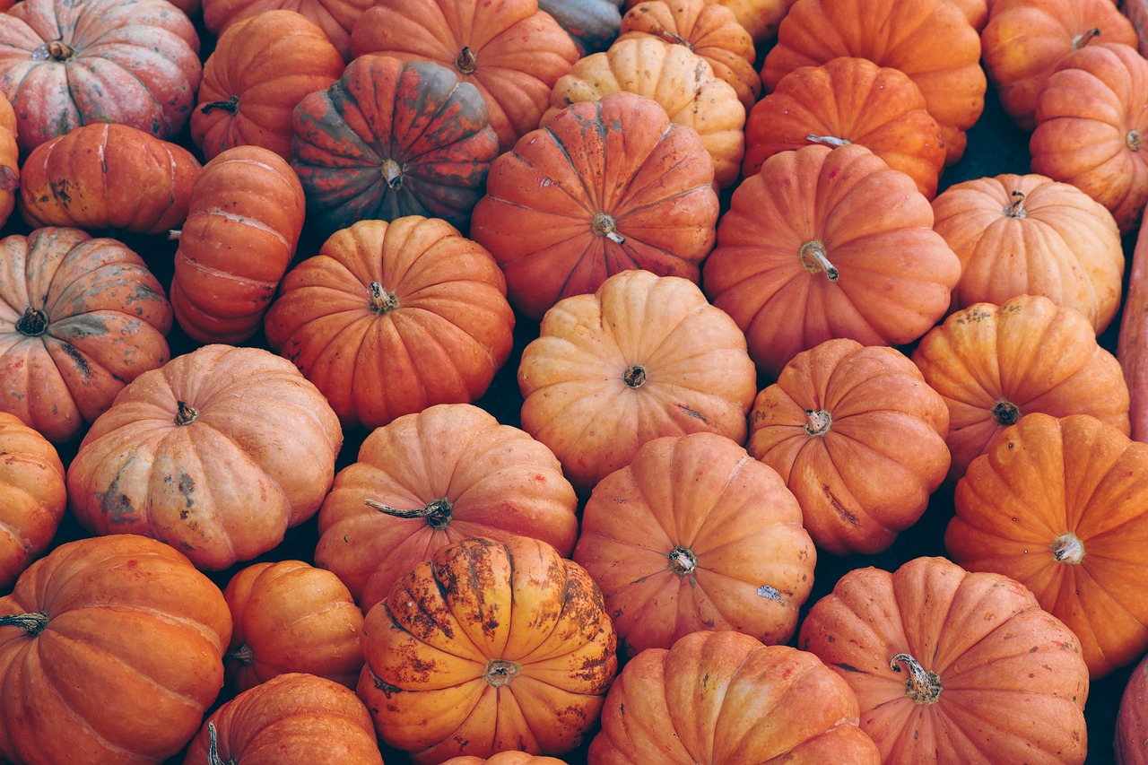 jensphotography-pumpkin-7496159_1280.jpg